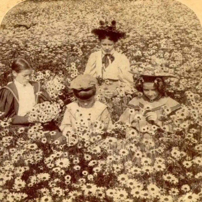 Нескучная Викторианская эпоха: шуточные фотографии из жизни англичан